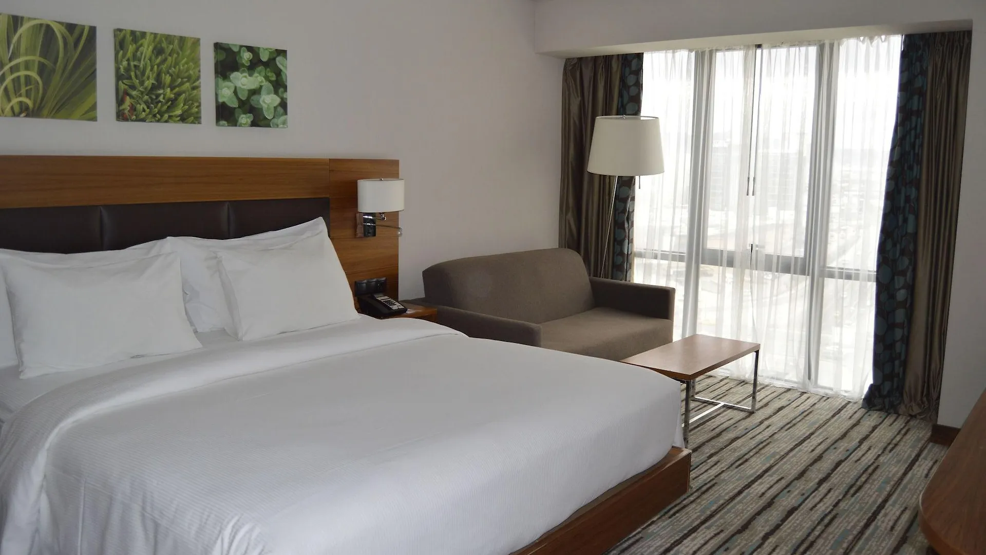 ***** Отель Hilton Garden Inn Ankara Gimat Турция